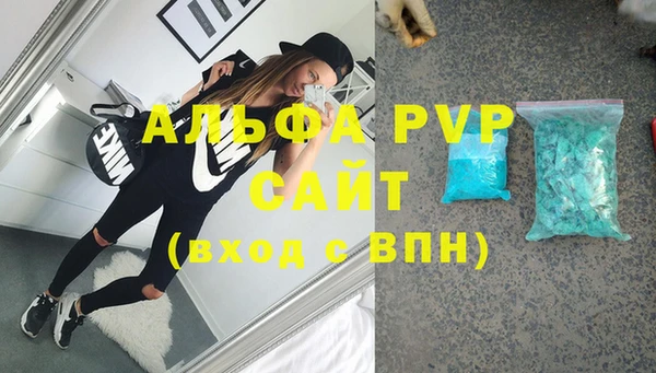 прущие грибы Горно-Алтайск
