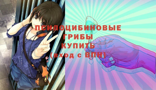 альфа пвп Гусь-Хрустальный
