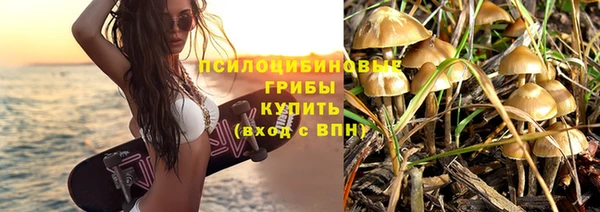 PSILOCYBIN Дмитриев